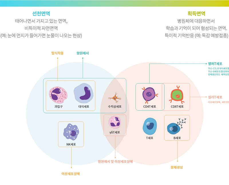 세솟는병원