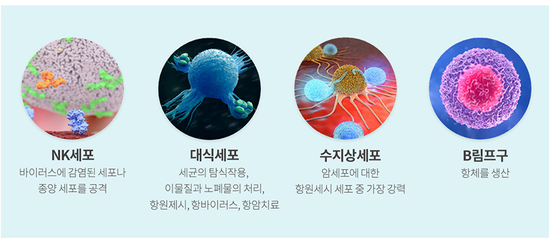 세솟는병원